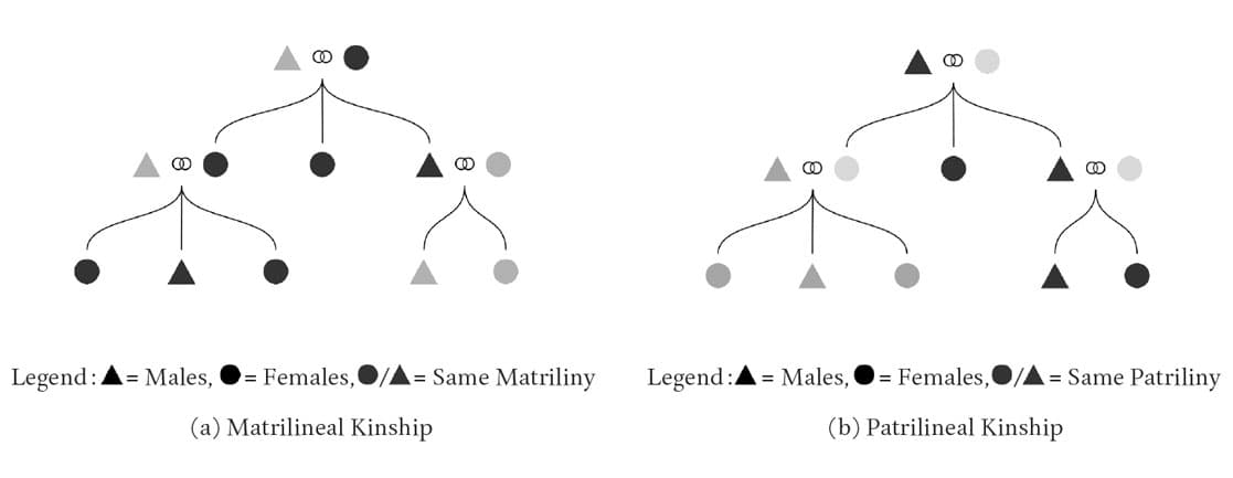kinship tree